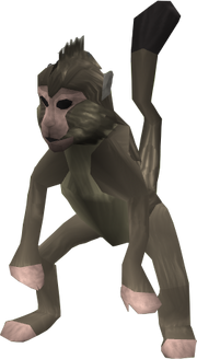MonkeyNew