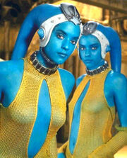 Twilektwins.jpg