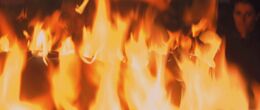 Qui-GonBurning-TPM.jpg