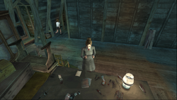 Attic