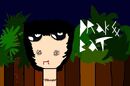 Drake Bat