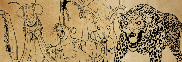 File:Library-Summoning.png