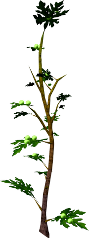 File:Mournberry bush.png