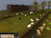 The penguins in the sheep field