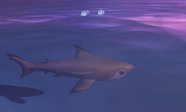 File:Wobbegong fishing spot.png