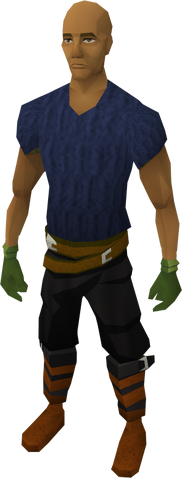 File:Cadantine gloves equipped.png