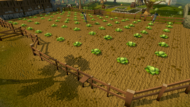 File:Falador cabbage patch.png