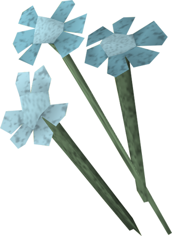 File:Trollweiss detail.png