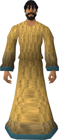 File:Robe of Elidinis equipped.png