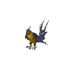 Macaw kb.gif