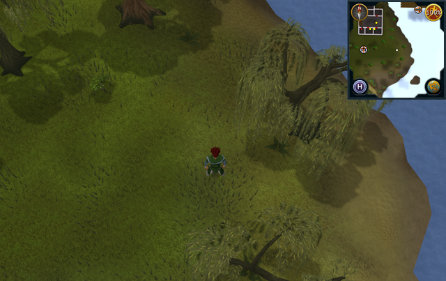 File:Compass clue Port Sarim south-east of Port Sarim Jail.png