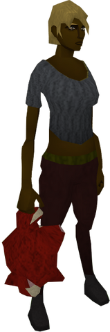 File:Crimson skillchompa equipped.png
