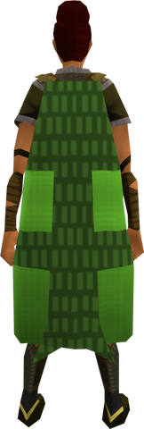 File:Team-33 cape equipped.png