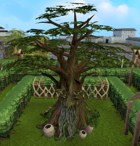 File:Village spirit tree.png