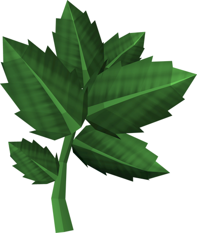 File:Mint detail.png