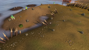 Rellekka coast
