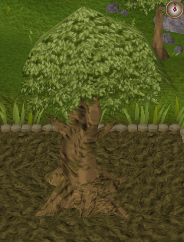 File:Spirit tree9.png