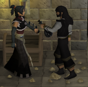 Void Knights Potion