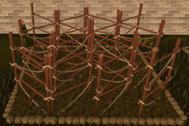 File:Grapevine 2.png