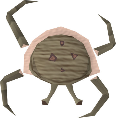 File:Rock crab carcass detail.png