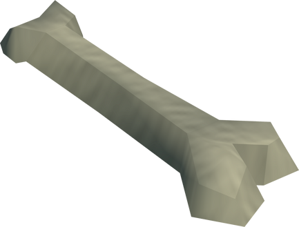 File:Femur bone detail.png