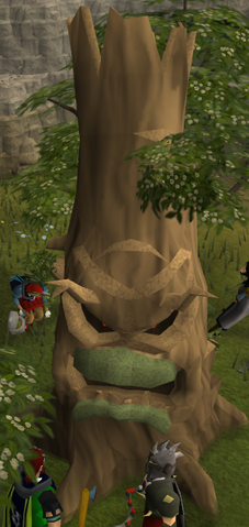 File:Evil hawthorn tree.png