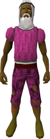 File:Desert disguise equipped.png