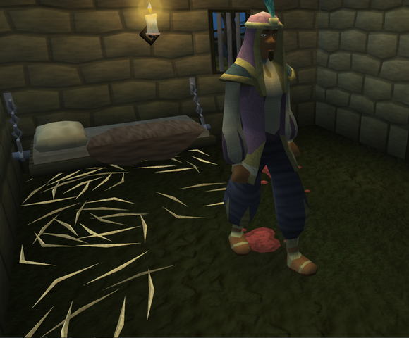 File:Prince Ali Rescue.png
