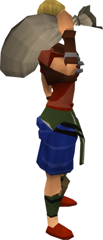 File:Swag Bag equipped.png