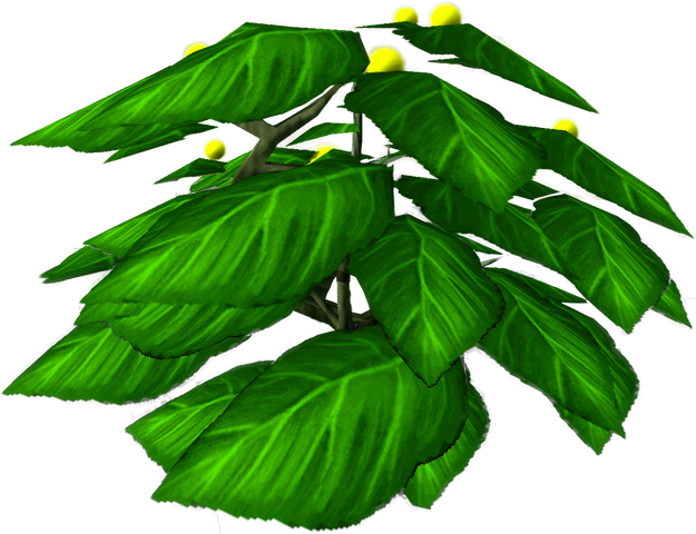 File:Squiffberry bush.png