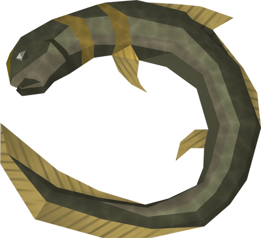 File:Raw short-finned eel detail.png