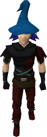 File:Wizard hat equipped old.png