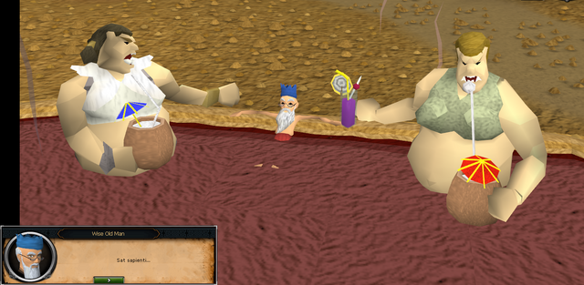 File:Wise Old Man Spa.png