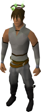 File:Guthix halo equipped.png