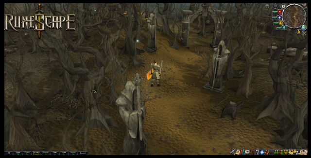 File:New wildy.jpg