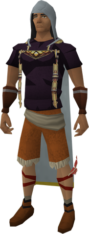 File:Runecrafting hood equipped.png