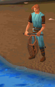 Fishing with Net.gif