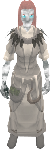 File:Ghostly druid outfit equipped.png