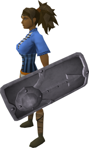 File:Steel sq shield equipped.png