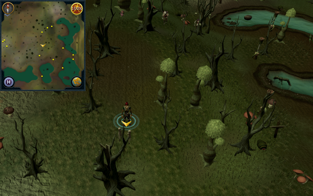 File:Scan clue Haunted Woods west of Port Phasmatys General Store.png