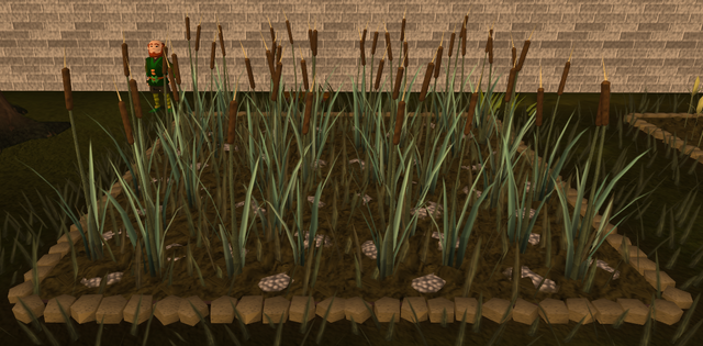 File:Reeds5.png