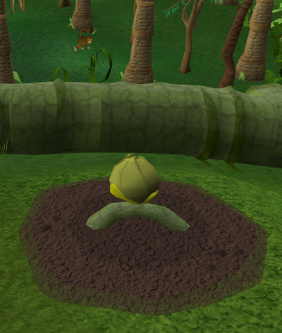 File:Kalferberry2.png