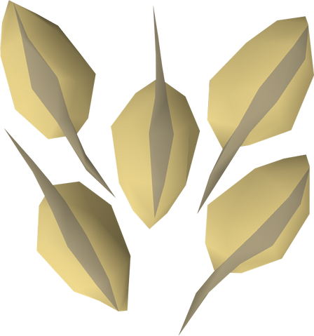 File:Woad seed detail.png