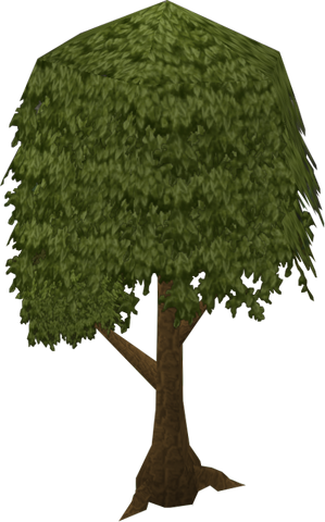 File:Tree old.png