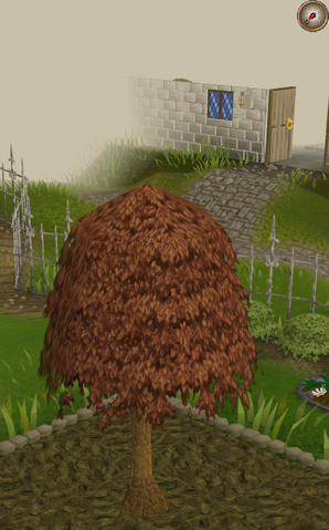 File:Maple6.png