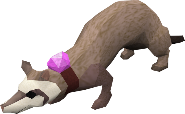 File:Ferret (Dungeoneering).png