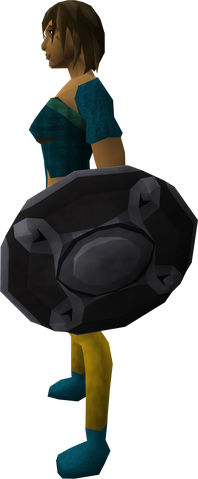 File:Lucky eagle-eye kiteshield equipped.png