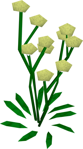 File:Daffodils built.png