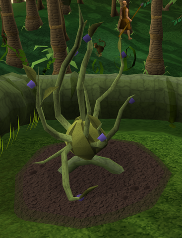 File:Lergberry6.png