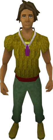 File:Salve amulet equipped.png
